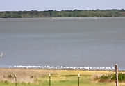 The Lodge at Navarro Mills Lake in Texas